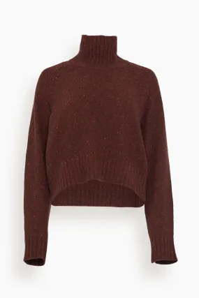 Cropped Turtleneck Sweater in Plum